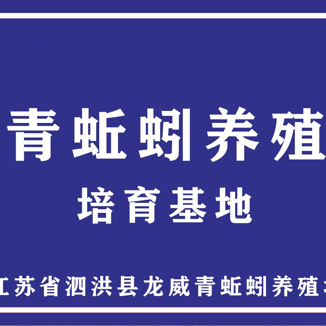 龙威青蚯蚓养殖
