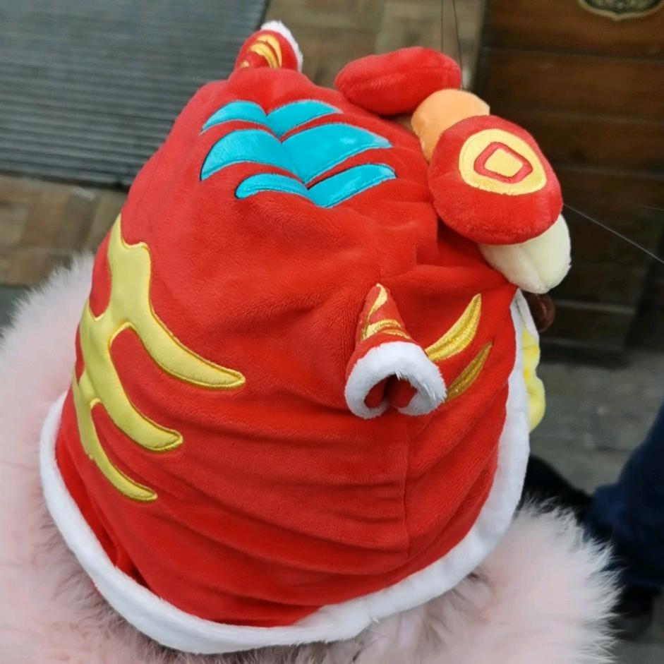 大不刘女士