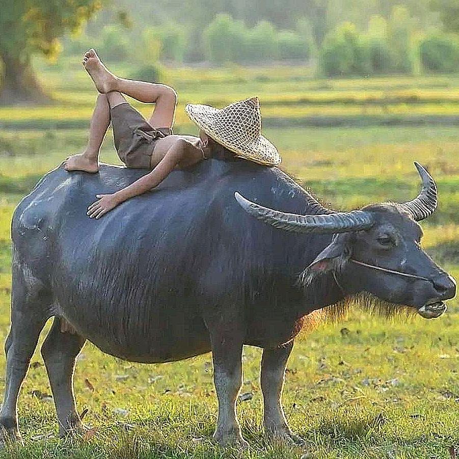 风风雨雨一辈子