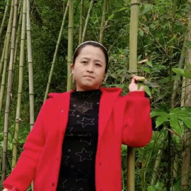 心若向（阳）
