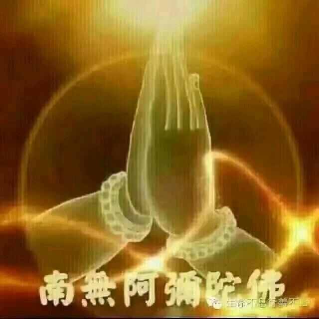 星缘梦