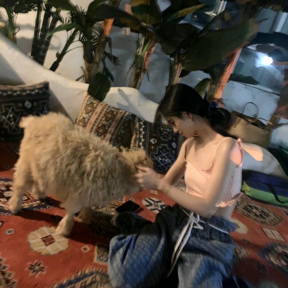 7个什么橘
