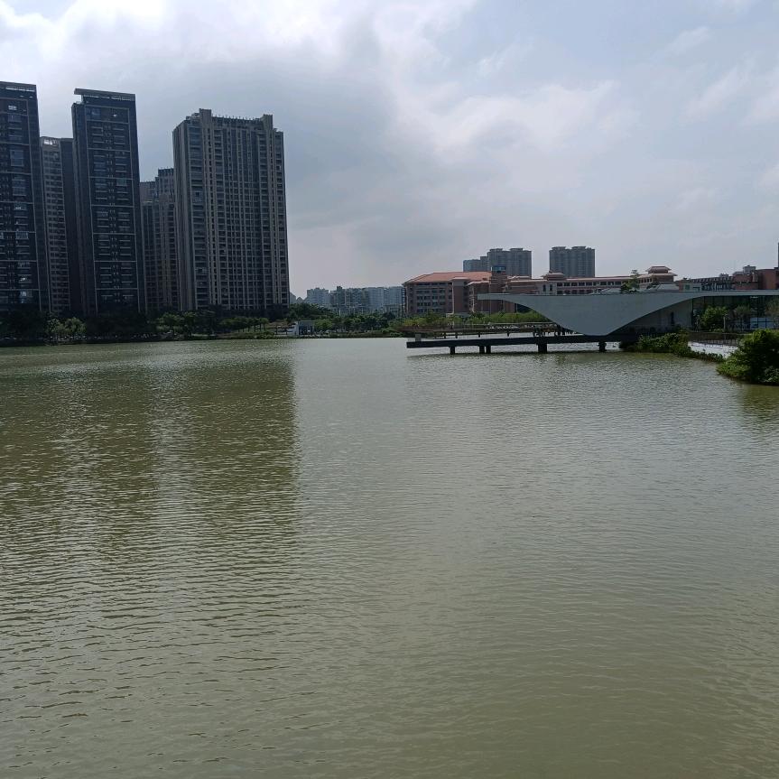 让泪化作相思雨