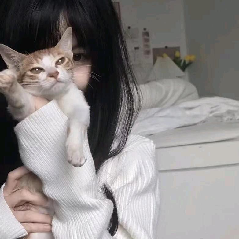 月亮想困觉咯🌙