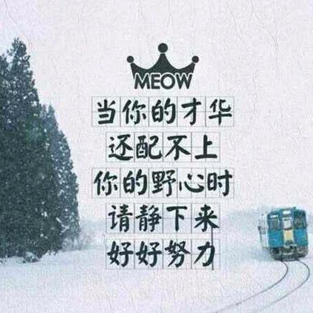 随梦而飞，向上飞翔