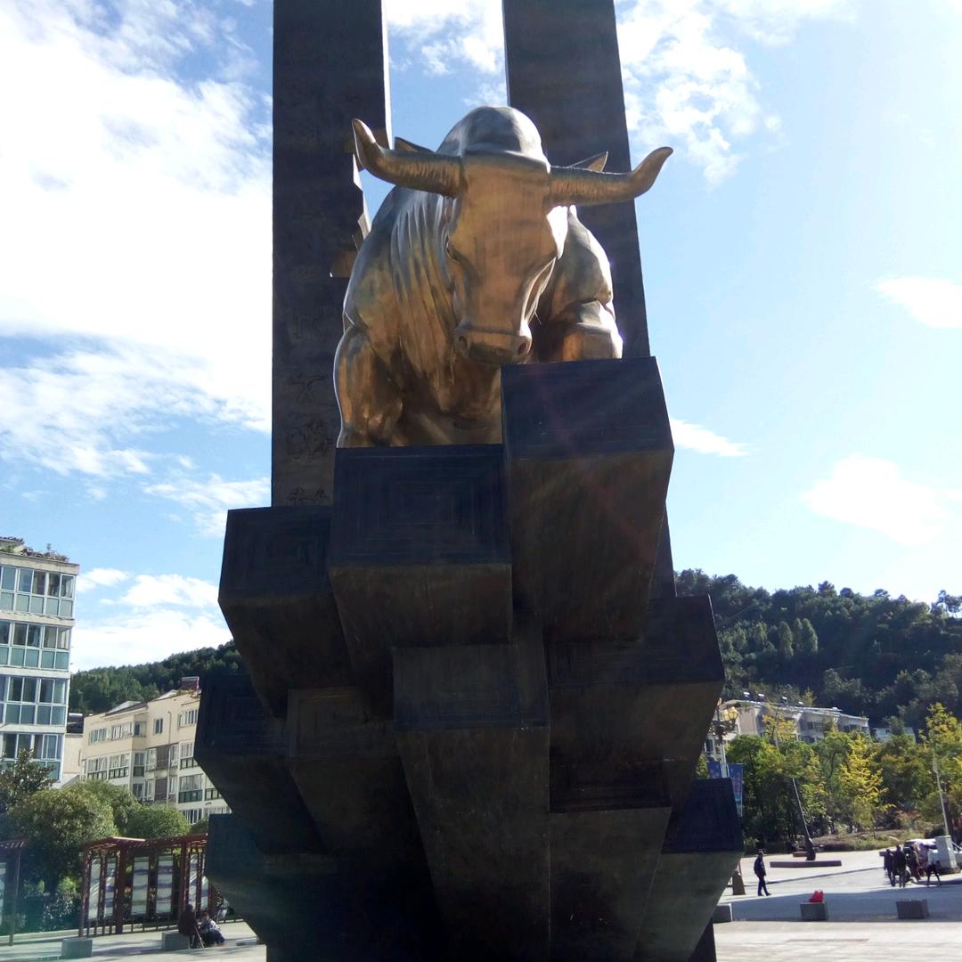 理证发展哥