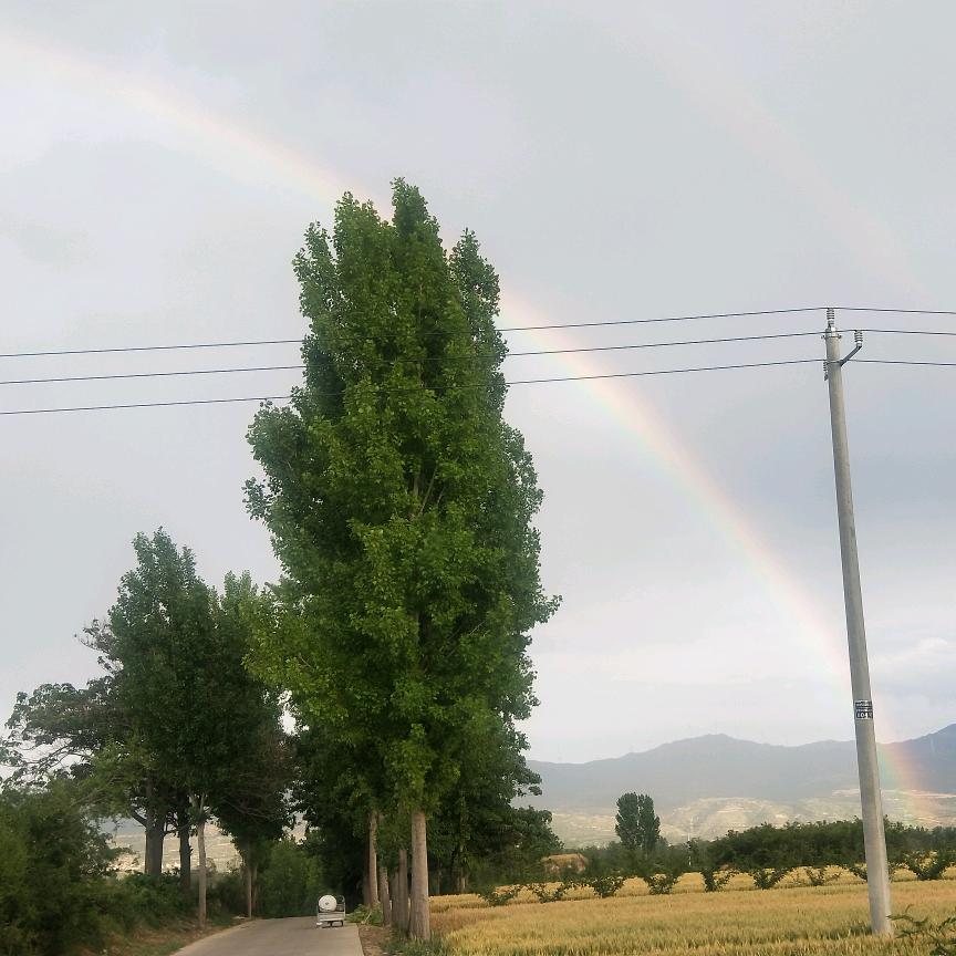 &(ಡ一帆🍒冯顺ωಡ) 9088496