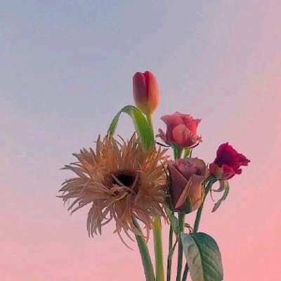优秀