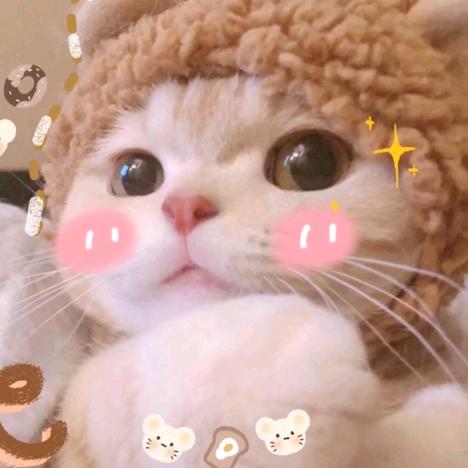 小仙女们的妈