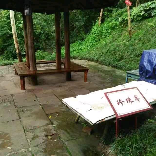 善良的心