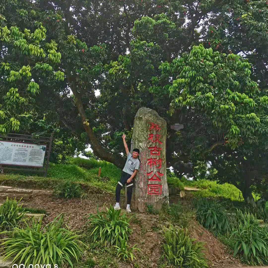 向钱看
