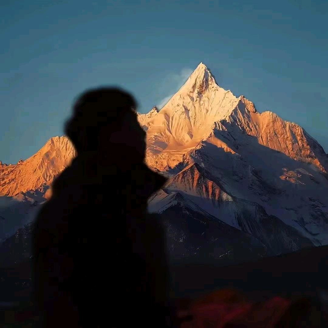 南北知你心