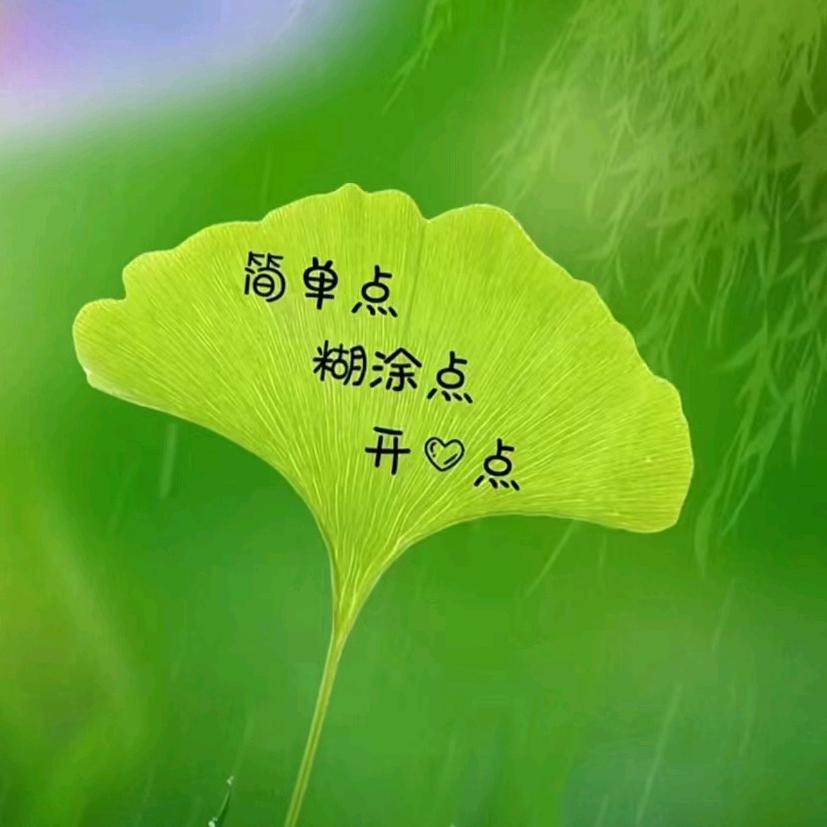 淡然感恩