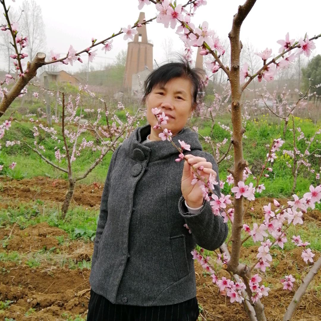 杨东红