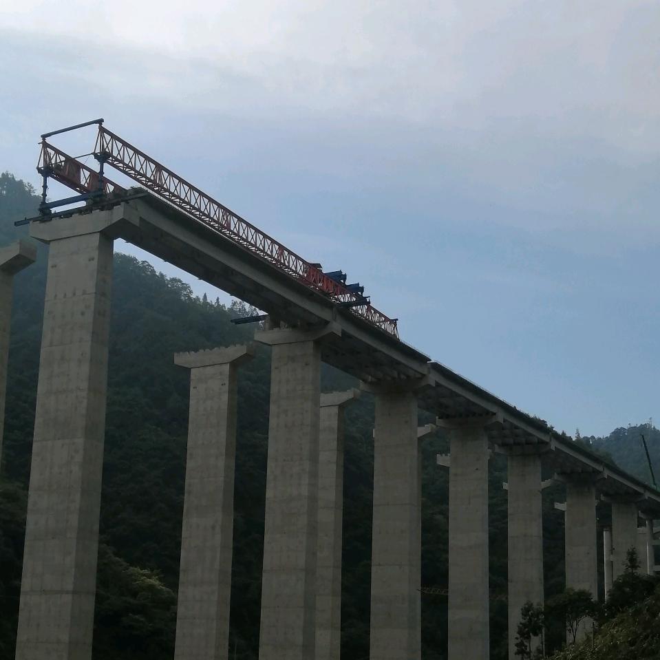 缘友