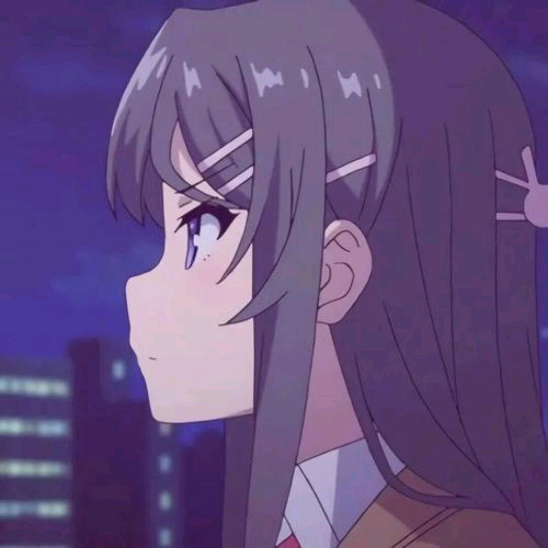 山不厌高