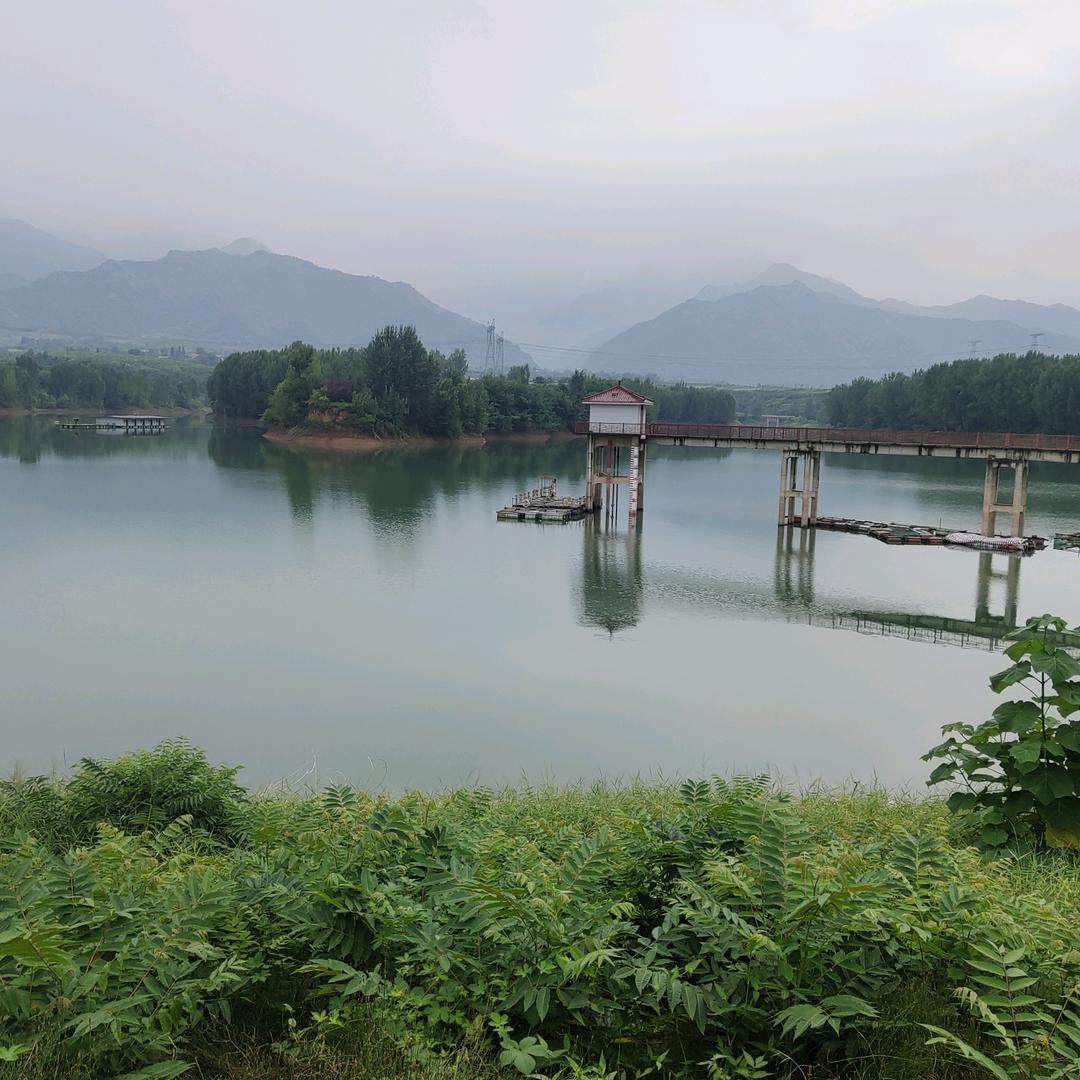 清雅淡然