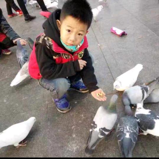 杨。。。