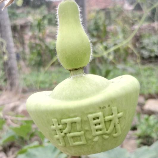 永不放弃