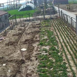 过自己想过的生活