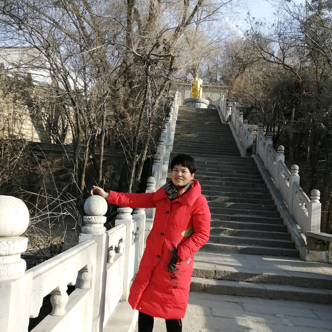 太阳高高升起