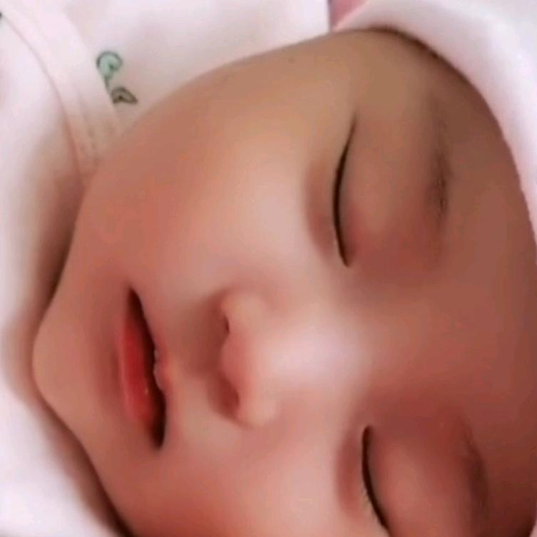 王苗苗