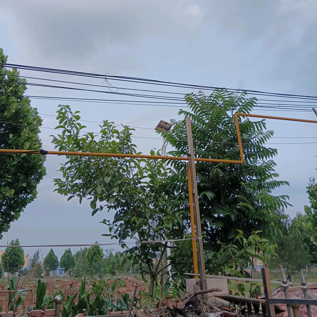 春雨2