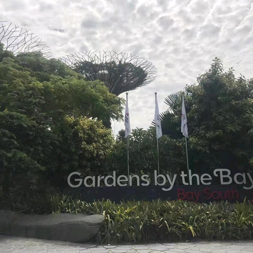 小军学长