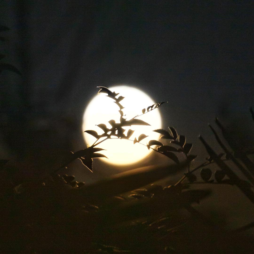不要念我名字头像