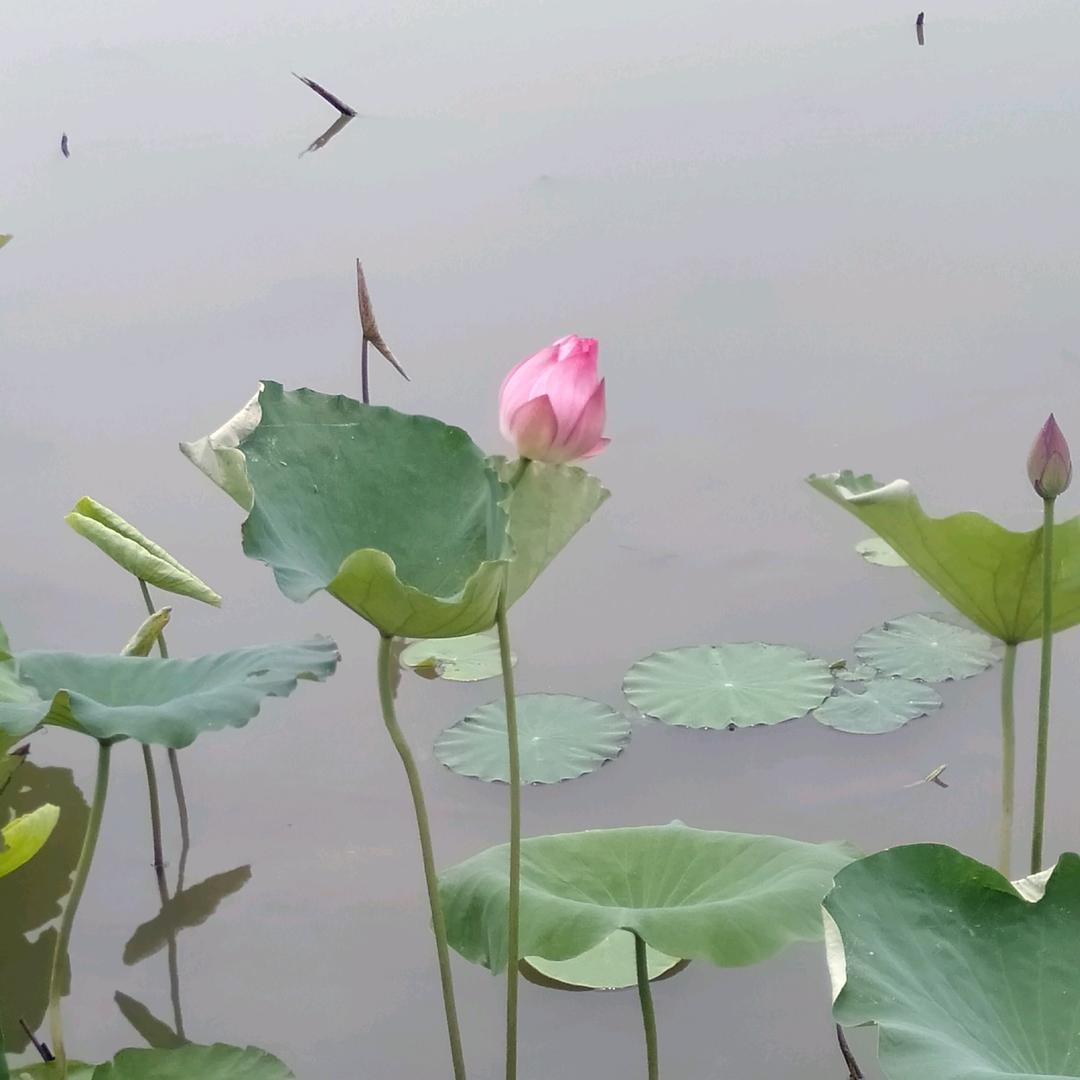 老乡