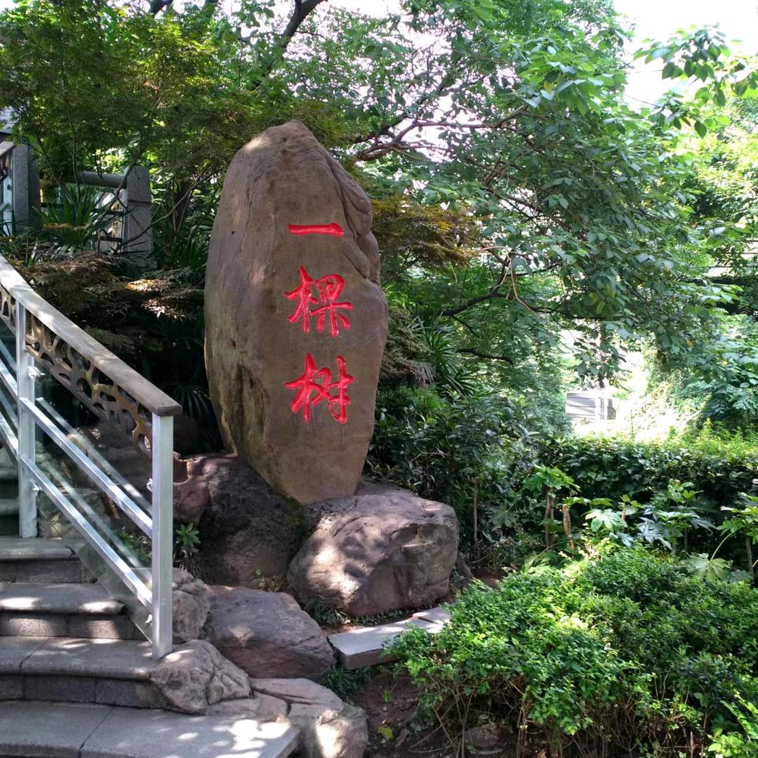 如愿以偿