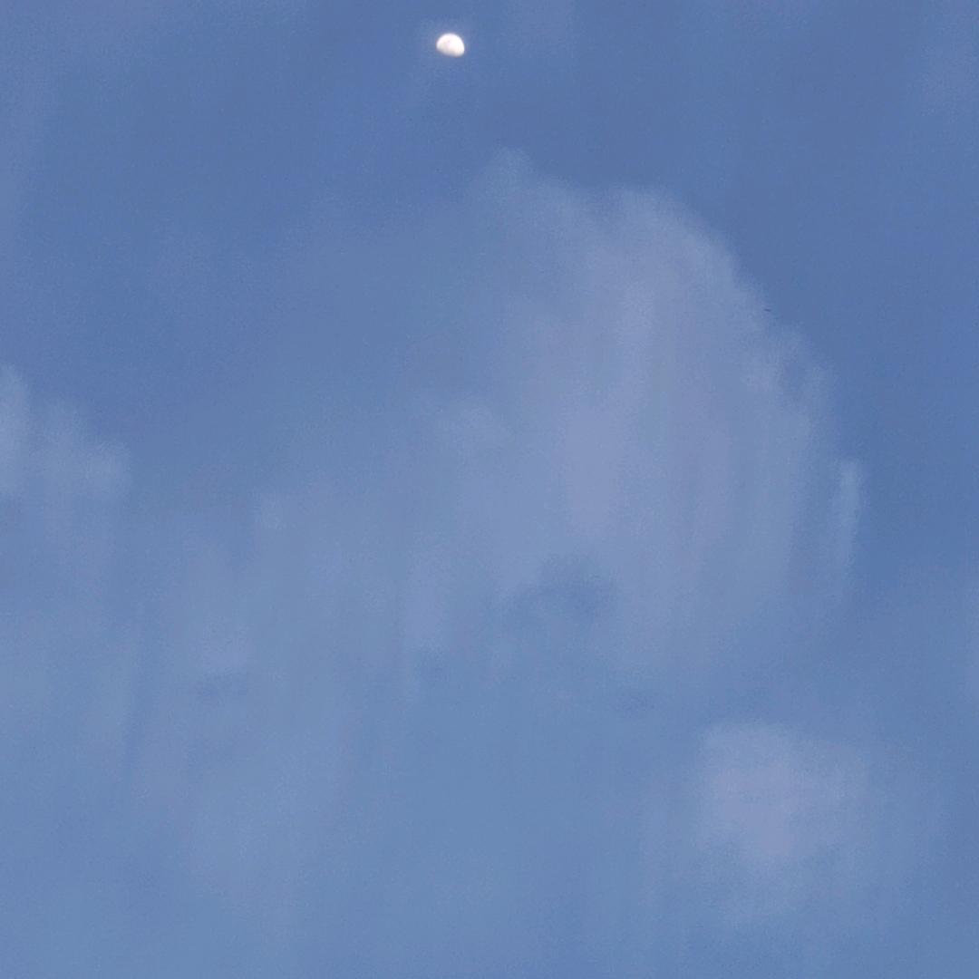 zhenz