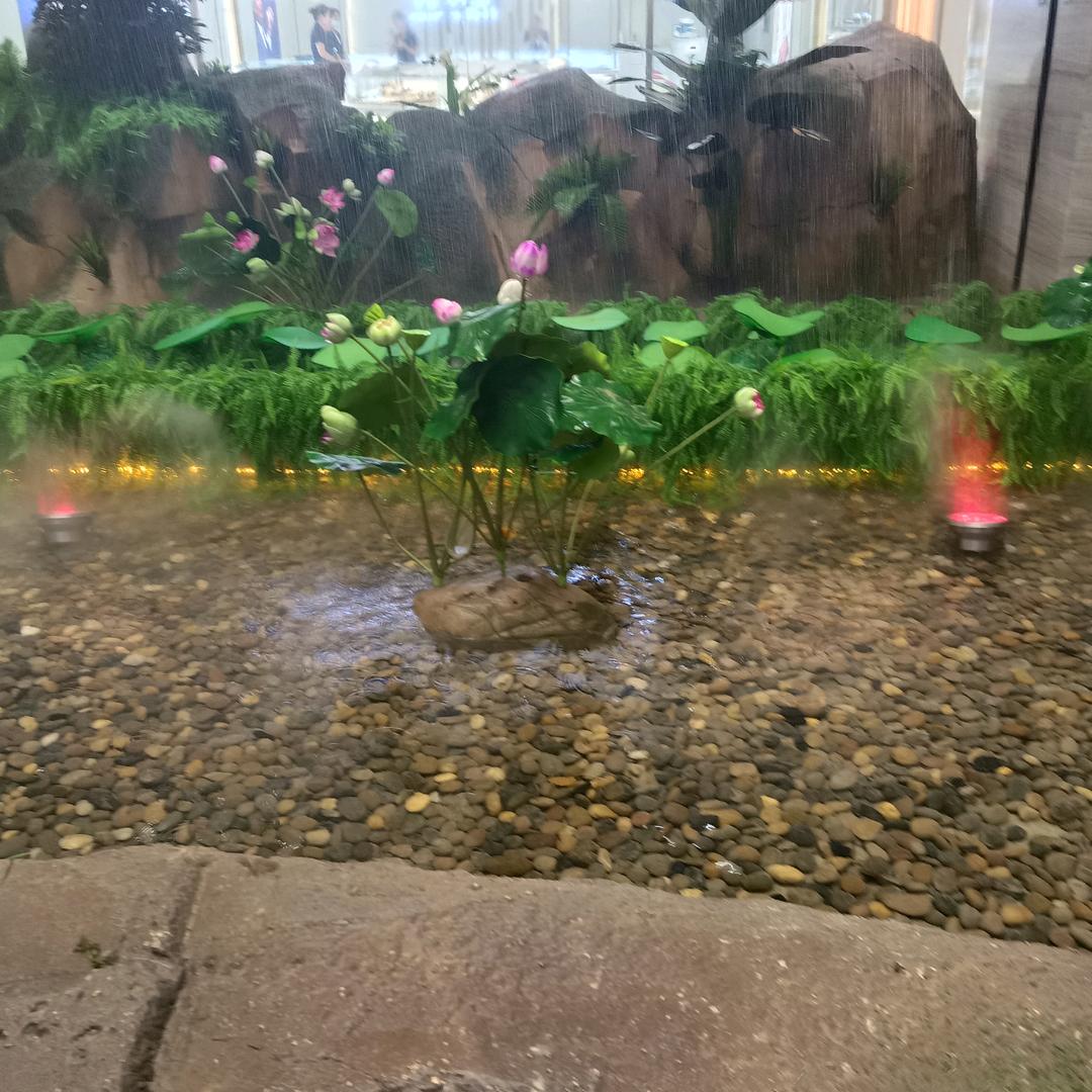 清透自然🧚‍♂️🧚‍♂️🧚‍♀️