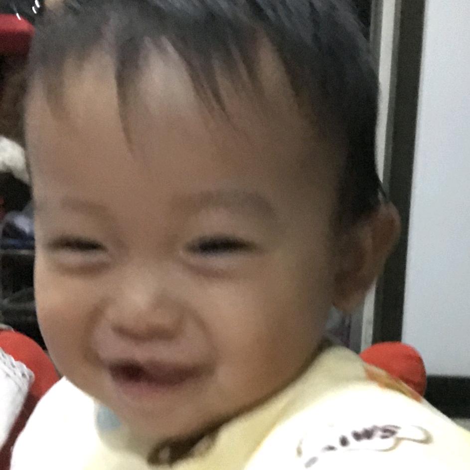 全世界的小宝