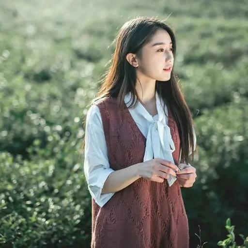 胜成1