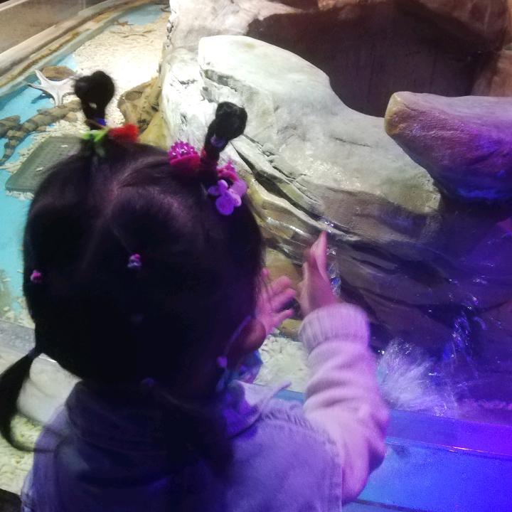 城