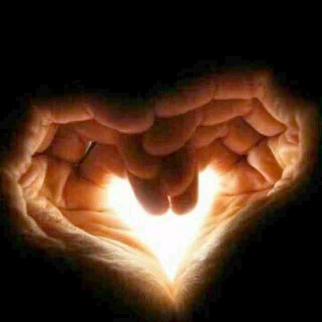 晚风抚你也挽风