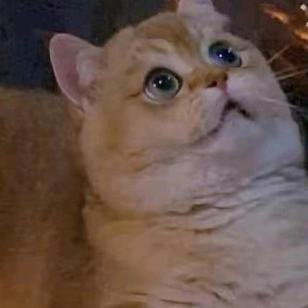 靖江市顺伟服装经营部