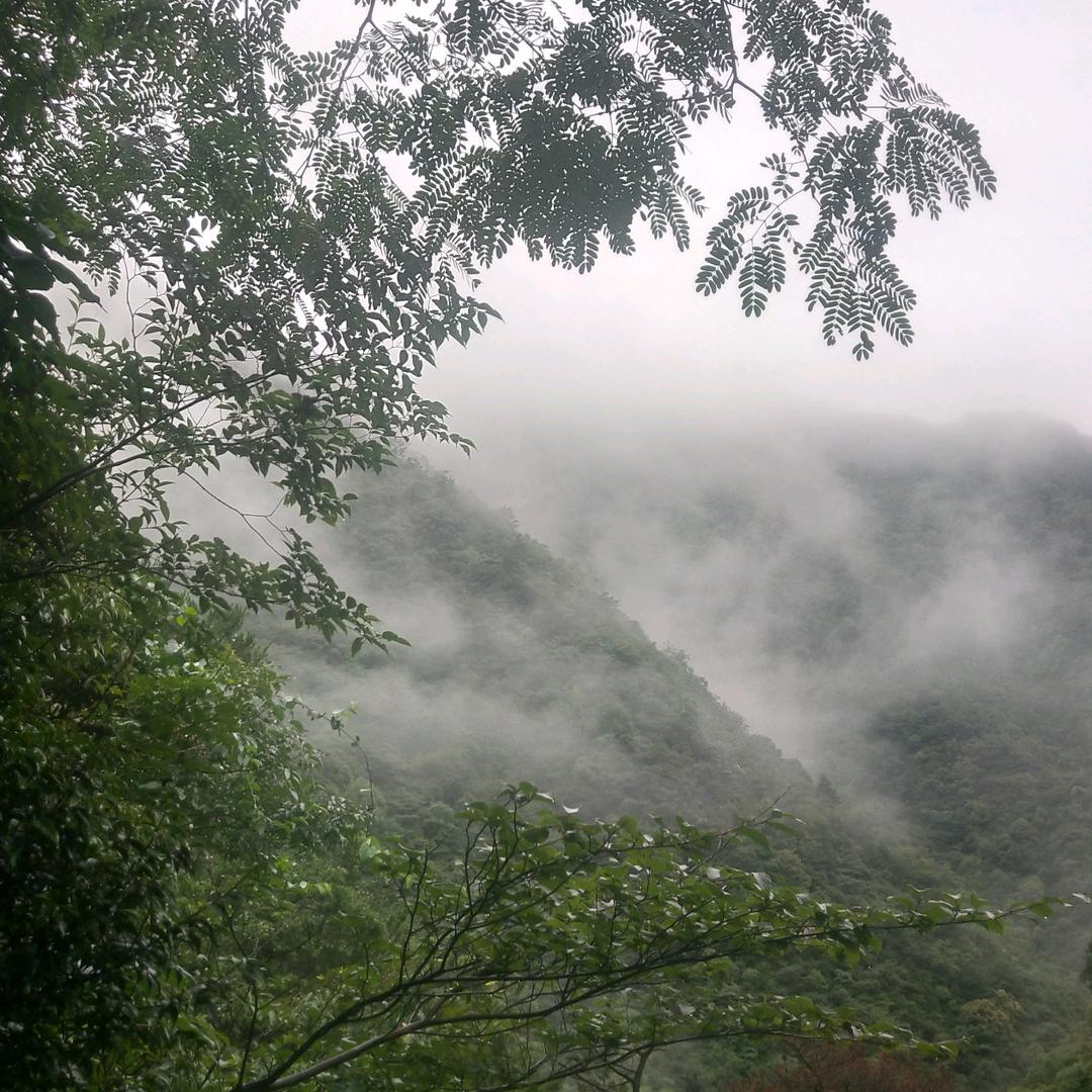 亮哥