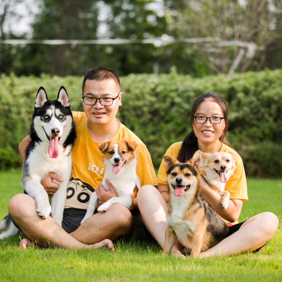 小黑小黄的幸福狗生
