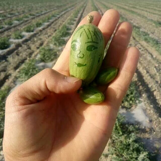 二哥说的那些事