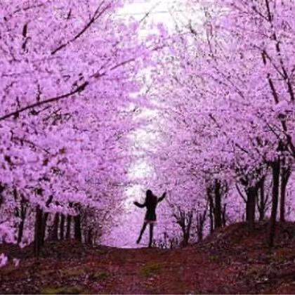 芬芬姐