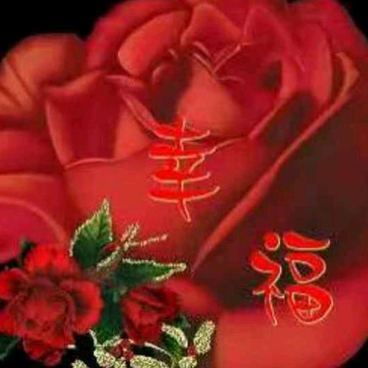 天天开心快乐每一天