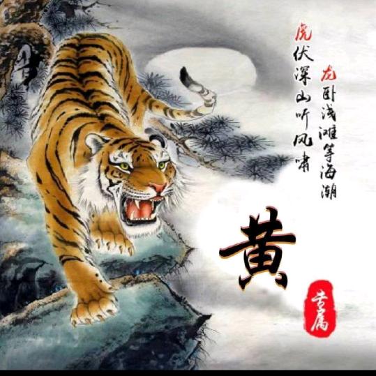 单身一个人