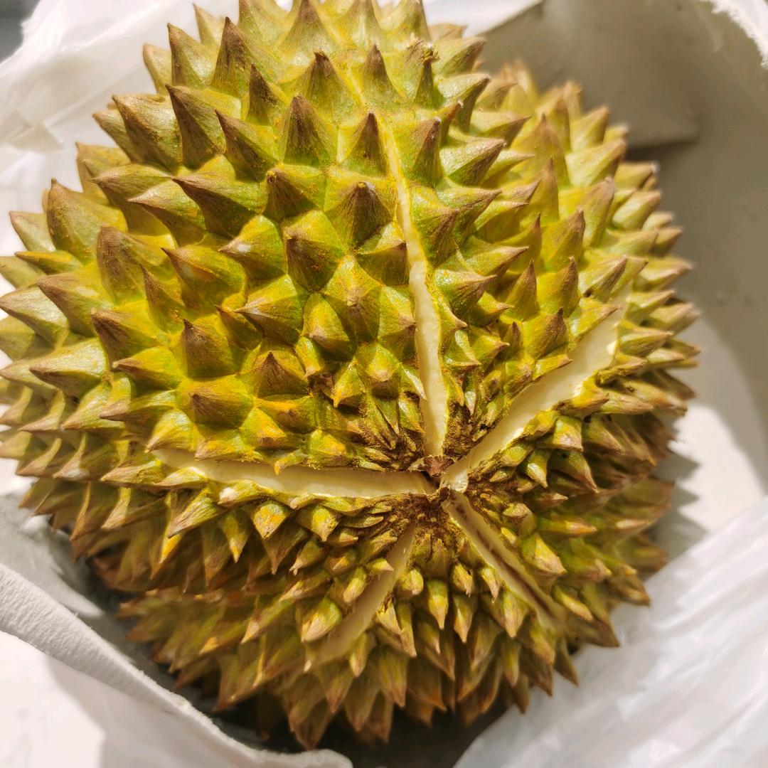 桐菓林城市水果批发中心