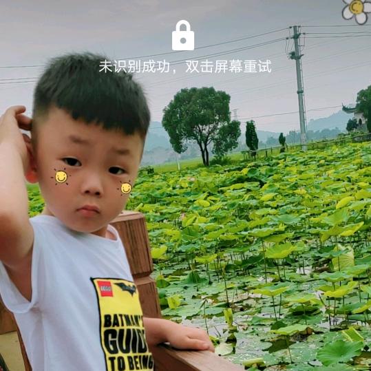 不会飞的鸟