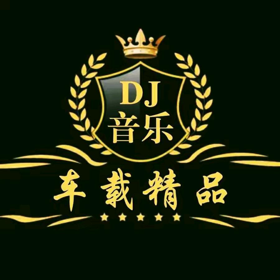 美娜经典dj（优盘）