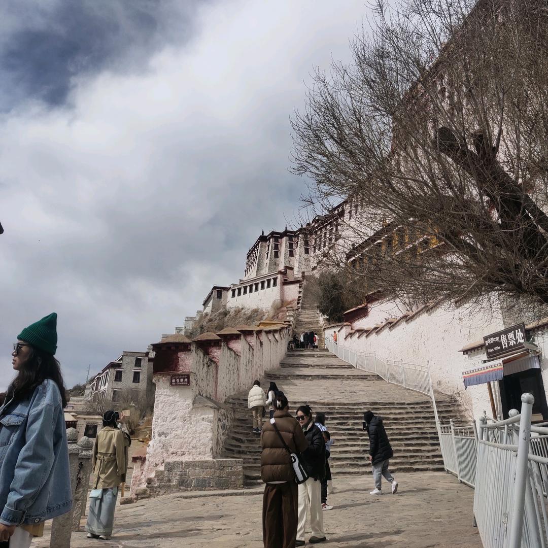 重生之我在318卖炒饭