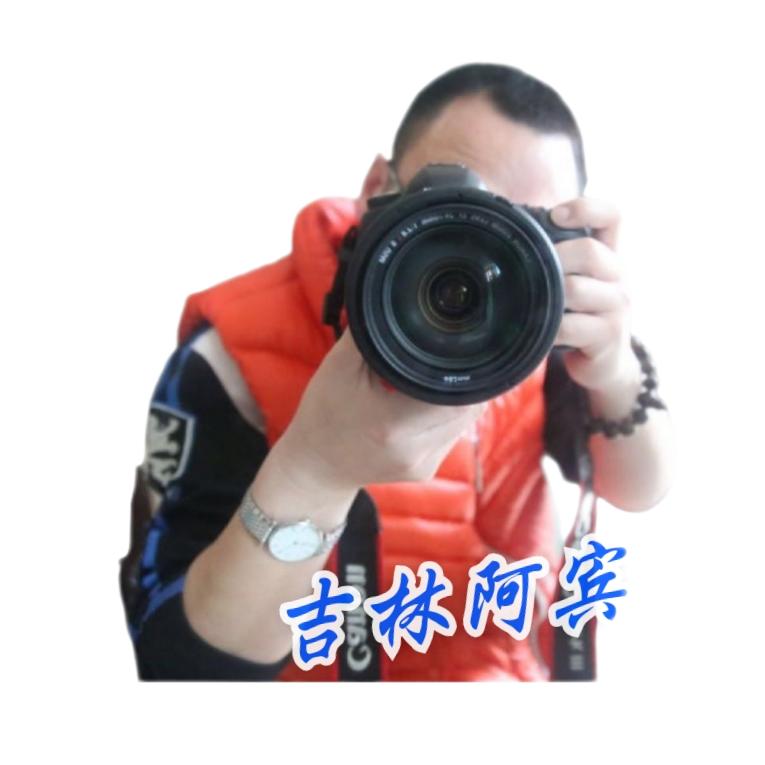 吉林阿宾