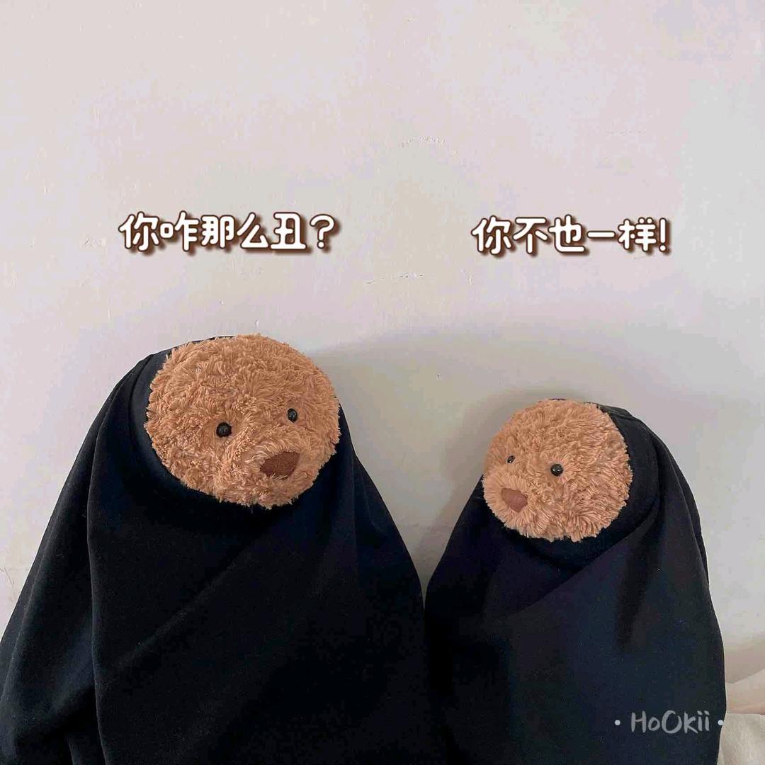 敲你脑壳.